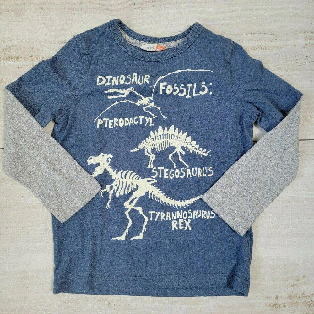 Kids' Dinosaur Fossils Graphic Long Sleeve T-Shirt
